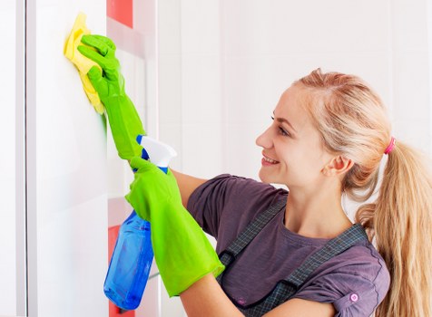 House cleaning tools arranged for a tidy home