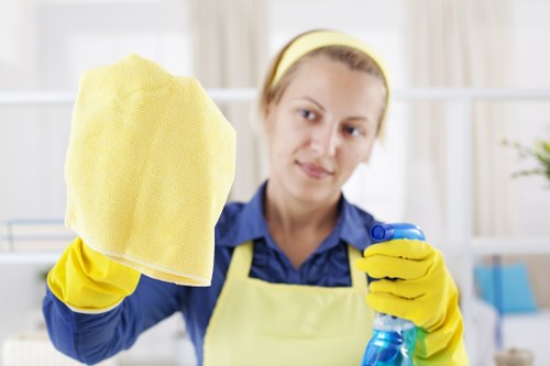 Seasonal window cleaning and maintenance for long-term clarity