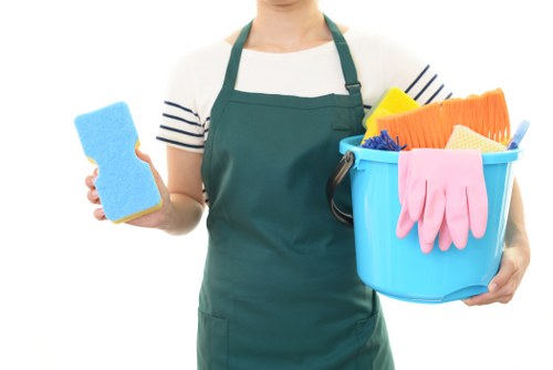 Domestic cleaning in a modern living room with tidy furniture