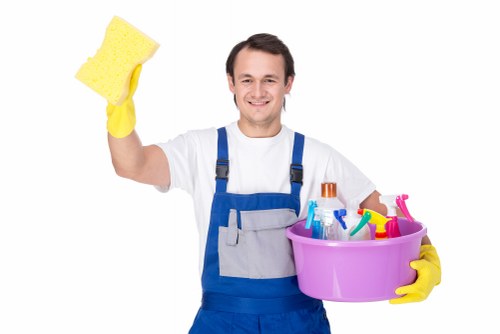 Regular cleaning in a bright modern home living room