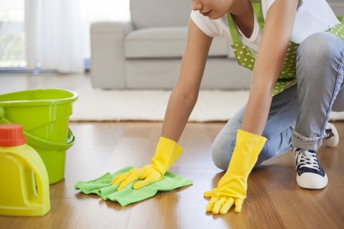 Bathroom sanitizing and scrubbing as part of move in cleaning