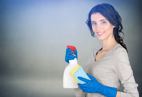 Professional cleaning of living room spaces before moving in